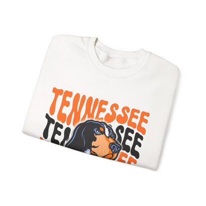 Tennessee College Football Sweatshirt - Sweatshirt