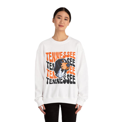 Tennessee College Football Sweatshirt - Sweatshirt